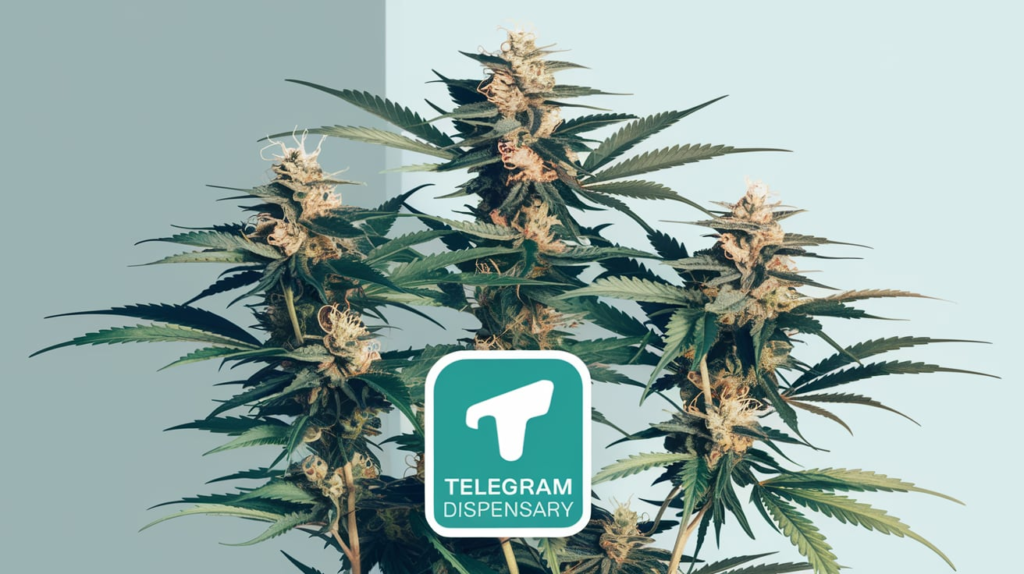 Telegram Dispensary