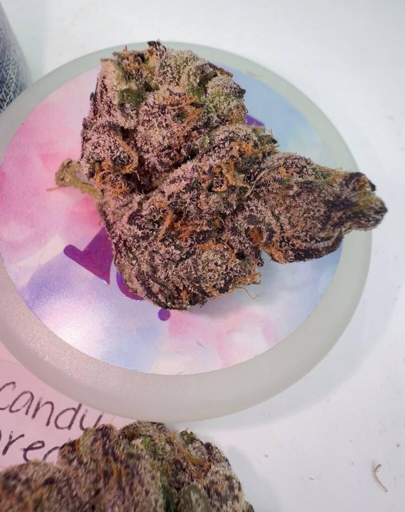 exotic indoor cannabis flower